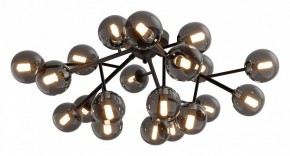 Потолочная люстра Maytoni Dallas MOD545CL-20B в Екатеринбурге - mebel24.online | фото 2