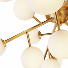 Потолочная люстра Maytoni Dallas MOD545CL-20BS в Екатеринбурге - mebel24.online | фото 2