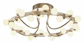 Потолочная люстра Maytoni Tessara MOD081CL-L36G3K в Екатеринбурге - mebel24.online | фото 2