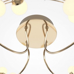 Потолочная люстра Maytoni Tessara MOD081CL-L36G3K в Екатеринбурге - mebel24.online | фото 4