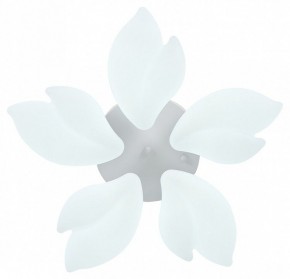 Потолочная люстра Natali Kovaltseva Effect LED LAMPS 81116 в Екатеринбурге - mebel24.online | фото 3
