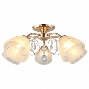Потолочная люстра Omnilux Castellaro OML-29007-05 в Екатеринбурге - mebel24.online | фото 2