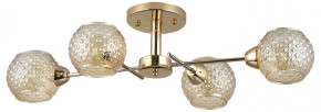 Потолочная люстра Rivoli Amalia Б0050815 в Екатеринбурге - mebel24.online | фото