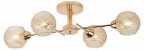 Потолочная люстра Rivoli Amalia Б0050815 в Екатеринбурге - mebel24.online | фото 2