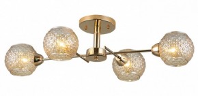 Потолочная люстра Rivoli Amalia Б0050815 в Екатеринбурге - mebel24.online | фото 3