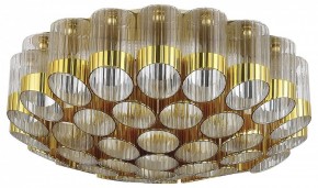 Потолочная люстра ST-Luce Accord SL1662.302.19 в Екатеринбурге - mebel24.online | фото 2