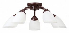 Потолочная люстра Vitaluce V3184 V3252/5PL в Екатеринбурге - mebel24.online | фото