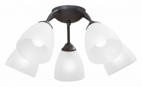 Потолочная люстра Vitaluce V3184 V3737-2/5PL в Екатеринбурге - mebel24.online | фото
