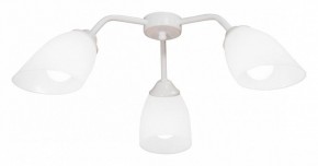 Потолочная люстра Vitaluce V31950 V31950/3PL в Екатеринбурге - mebel24.online | фото
