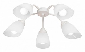 Потолочная люстра Vitaluce V31950 V31950/5PL в Екатеринбурге - mebel24.online | фото