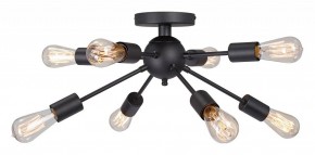 Потолочная люстра Vitaluce V3763 V3763-1/8PL в Екатеринбурге - mebel24.online | фото 3