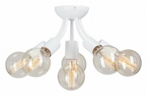 Потолочная люстра Vitaluce V3927 V3927-0/6PL в Екатеринбурге - mebel24.online | фото