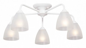 Потолочная люстра Vitaluce  V3946-0/5PL в Екатеринбурге - mebel24.online | фото