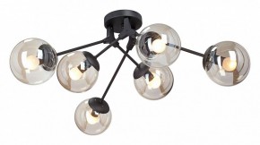 Потолочная люстра Vitaluce  V4323-1/6PL в Екатеринбурге - mebel24.online | фото