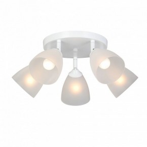 Потолочная люстра Vitaluce V4355 V4355-0/5PL в Екатеринбурге - mebel24.online | фото 2