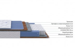 PROxSON Матрас Active Duo M/F (Ткань Трикотаж Эко) 90x195 в Екатеринбурге - mebel24.online | фото 2