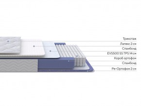 PROxSON Матрас Active Duo S/F (Ткань Трикотаж Эко) 140x195 в Екатеринбурге - mebel24.online | фото 2