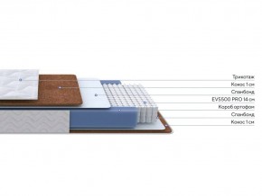 PROxSON Матрас Active F Roll (Ткань Трикотаж Эко) 80x195 в Екатеринбурге - mebel24.online | фото 2