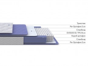 PROxSON Матрас Active F (Ткань Трикотаж Эко) 80x195 в Екатеринбурге - mebel24.online | фото 2