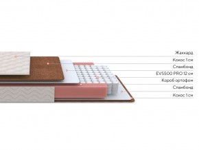 PROxSON Матрас Base M Roll (Ткань Синтетический жаккард) 160x200 в Екатеринбурге - mebel24.online | фото 2