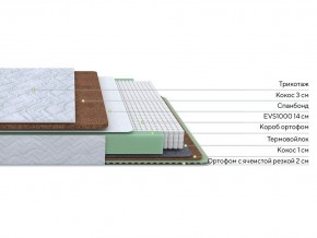 PROxSON Матрас Green Duo M/F (Tricotage Dream) 120x190 в Екатеринбурге - mebel24.online | фото 2