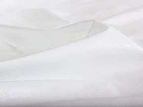 PROxSON Защитный чехол Aqua Save Light Top (Ткань влагостойкая Tencel Jersey) 180x190 в Екатеринбурге - mebel24.online | фото 5