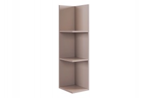 РИЧ Полка навесная 2 (кашемир) в Екатеринбурге - mebel24.online | фото 4