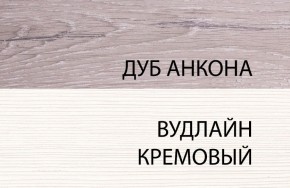 Шкаф 1DZ, OLIVIA, цвет вудлайн крем/дуб анкона в Екатеринбурге - mebel24.online | фото 3