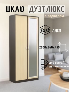 Шкаф 2-х створчатый Дуэт Люкс с зеркалом в Екатеринбурге - mebel24.online | фото
