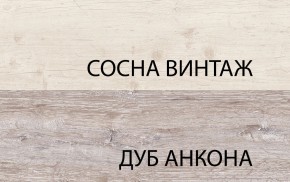 Шкаф 2DG2S, MONAKO, цвет Сосна винтаж/дуб анкона в Екатеринбурге - mebel24.online | фото