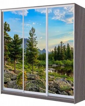Шкаф-купе ХИТ 22-20/2-777 ПРИРОДА в Екатеринбурге - mebel24.online | фото