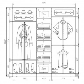 Шкаф-купе ХИТ 22-4-20-222 (420) в Екатеринбурге - mebel24.online | фото 2