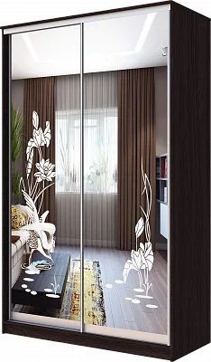 Шкаф-купе ХИТ 23-12-66 ЦАПЛИ в Екатеринбурге - mebel24.online | фото