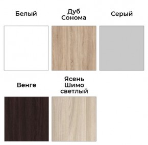 Шкаф-купе ХИТ 23-24/2-7777 (620) в Екатеринбурге - mebel24.online | фото 2