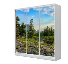 Шкаф-купе ХИТ 23-4-20-777 (420) в Екатеринбурге - mebel24.online | фото
