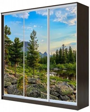 Шкаф-купе ХИТ 23-4-20-777 ПРИРОДА в Екатеринбурге - mebel24.online | фото