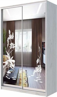 Шкаф-купе ХИТ 24-14-66 ЦАПЛИ в Екатеринбурге - mebel24.online | фото