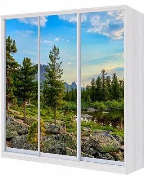 Шкаф-купе ХИТ 24-18/2-777 ПРИРОДА в Екатеринбурге - mebel24.online | фото