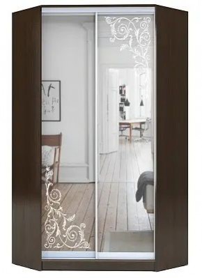 Шкаф-купе ХИТ-У-23-4-66 ОРНАМЕНТ в Екатеринбурге - mebel24.online | фото