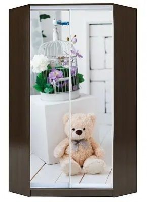 Шкаф-купе ХИТ-У-L-23-64-77 МИШКА В ИНТЕРЬЕРЕ в Екатеринбурге - mebel24.online | фото