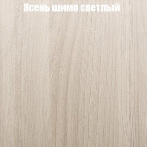 Шкаф-купе «ТАНДЕМ» 2-х дверный в алюминиевом профиле (Дверь К+К) 1600/h2200 в Екатеринбурге - mebel24.online | фото 6