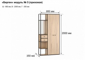 Шкаф платяной Берген-5 в Екатеринбурге - mebel24.online | фото 7