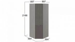 Шкаф платяной Либерти СМ-297.07.033 в Екатеринбурге - mebel24.online | фото 3