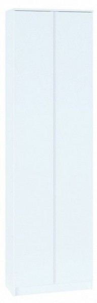Шкаф платяной ШО-4 в Екатеринбурге - mebel24.online | фото