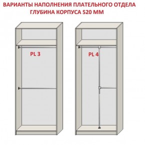 Шкаф распашной серия «ЗЕВС» (PL3/С1/PL2) в Екатеринбурге - mebel24.online | фото 10