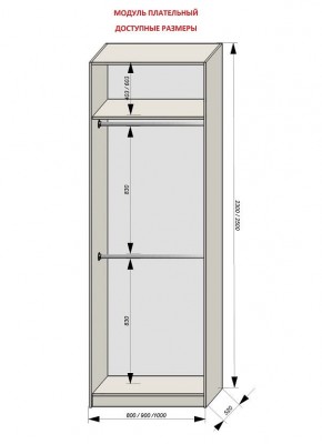 Шкаф распашной серия «ЗЕВС» (PL3/С1/PL2) в Екатеринбурге - mebel24.online | фото 12