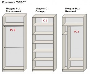 Шкаф распашной серия «ЗЕВС» (PL3/С1/PL2) в Екатеринбурге - mebel24.online | фото 2