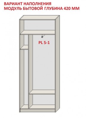 Шкаф распашной серия «ЗЕВС» (PL3/С1/PL2) в Екатеринбурге - mebel24.online | фото 4