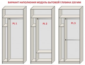 Шкаф распашной серия «ЗЕВС» (PL3/С1/PL2) в Екатеринбурге - mebel24.online | фото 5