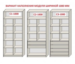 Шкаф распашной серия «ЗЕВС» (PL3/С1/PL2) в Екатеринбурге - mebel24.online | фото 7